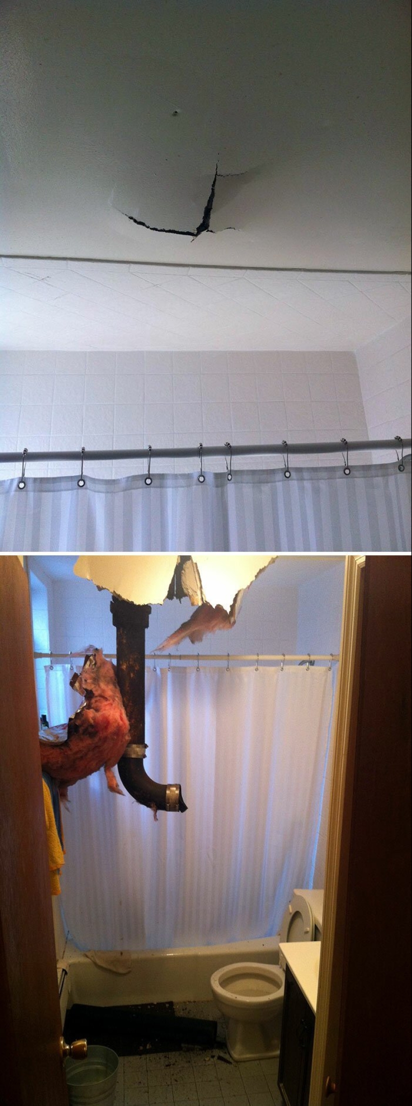 35 fotos sobre qué tipo de horror puedes encontrar en apartamentos alquilados