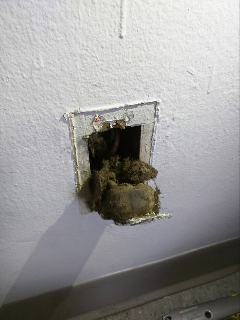 35 fotos sobre qué tipo de horror puedes encontrar en apartamentos alquilados