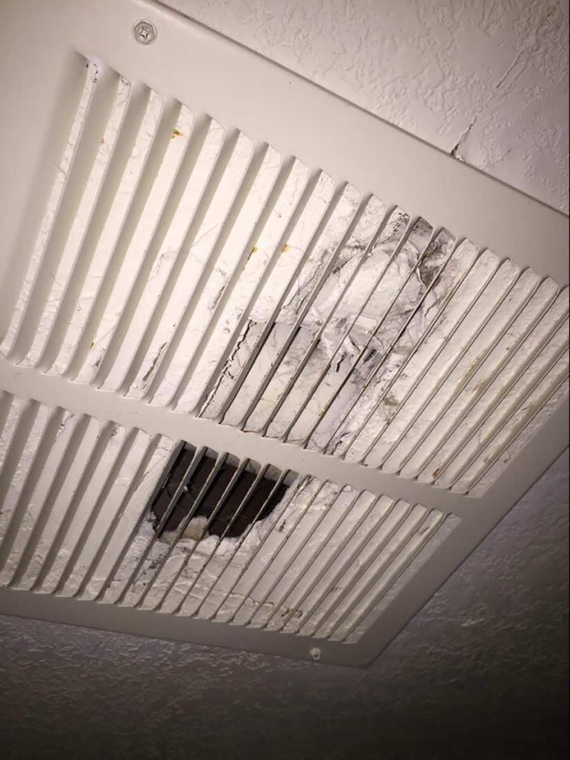 35 fotos sobre qué tipo de horror puedes encontrar en apartamentos alquilados