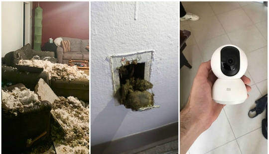 35 fotos sobre qué tipo de horror puedes encontrar en apartamentos alquilados