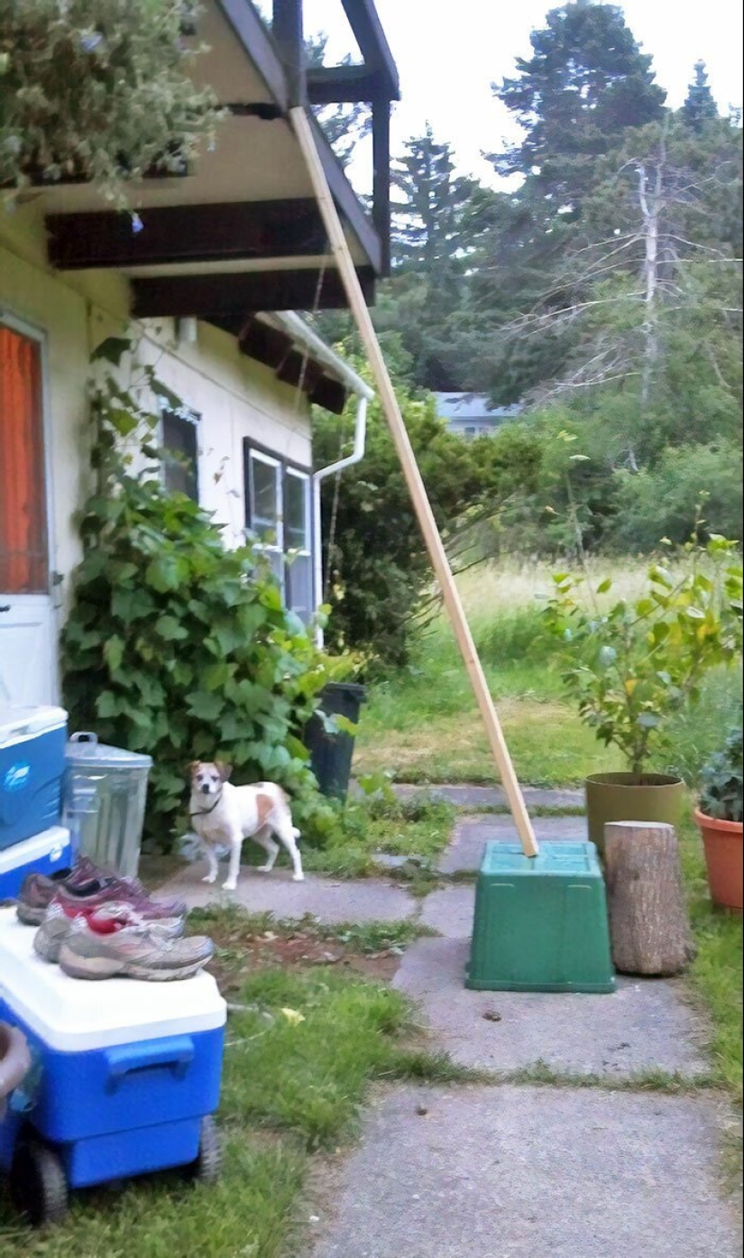 35 fotos sobre qué tipo de horror puedes encontrar en apartamentos alquilados