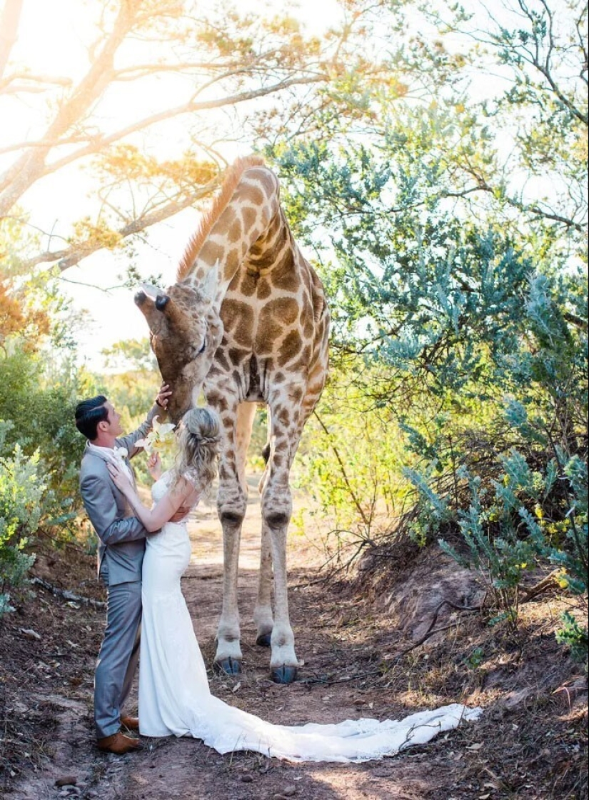 35 funny moments from weddings that made the holiday only better