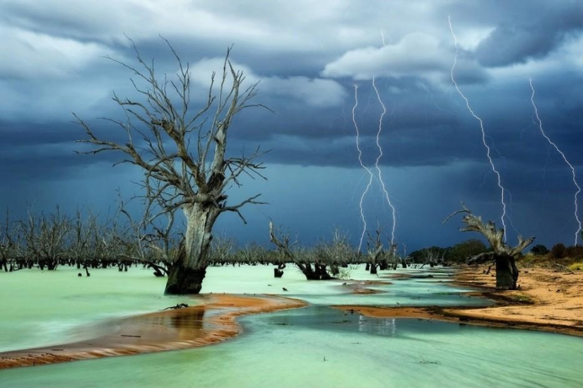 35 hermosas fotos que muestran el poder y la belleza de los elementos