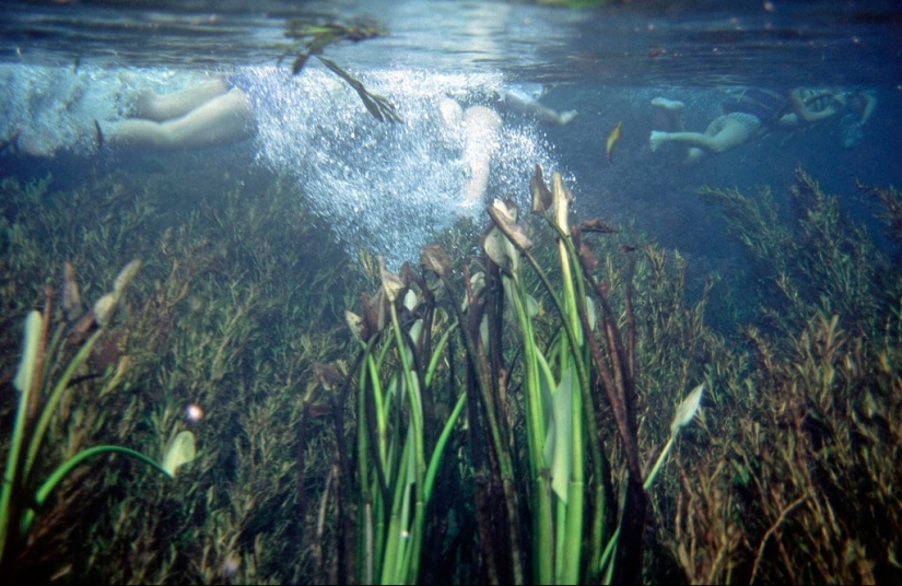 35 lugares únicos del planeta que sorprenderán con agua cristalina