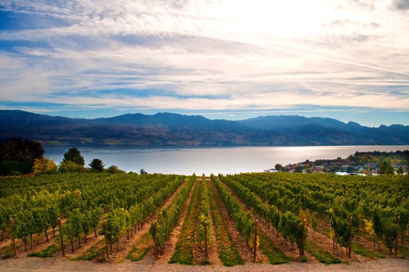 35 most beautiful vineyards in the world