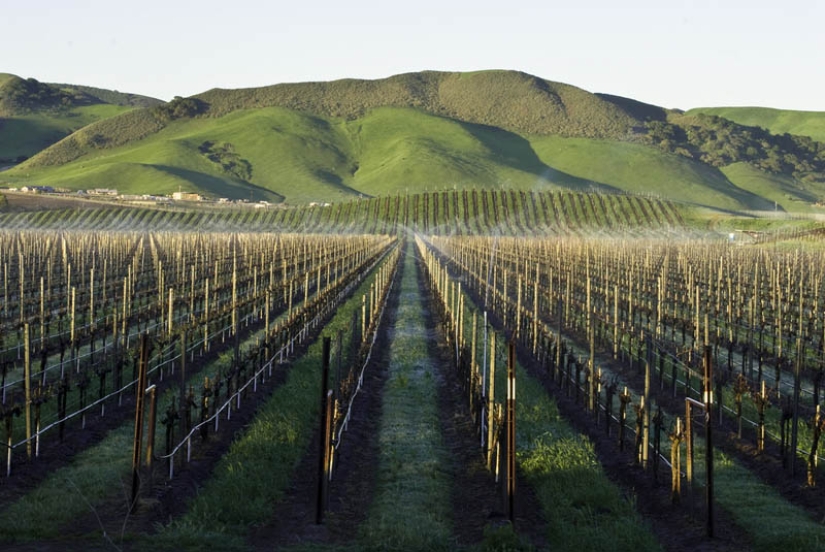 35 most beautiful vineyards in the world