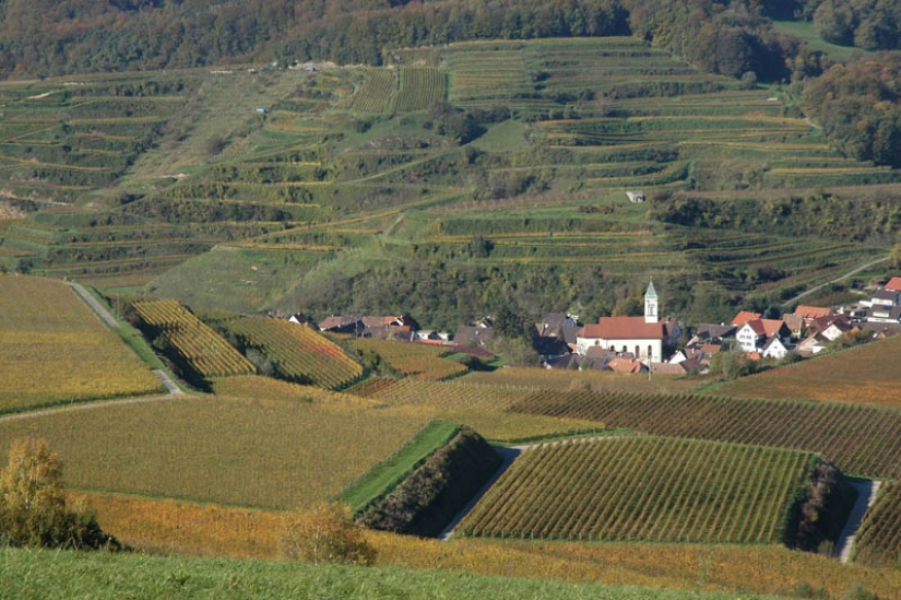 35 most beautiful vineyards in the world