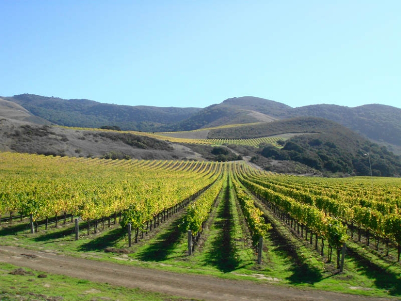 35 most beautiful vineyards in the world