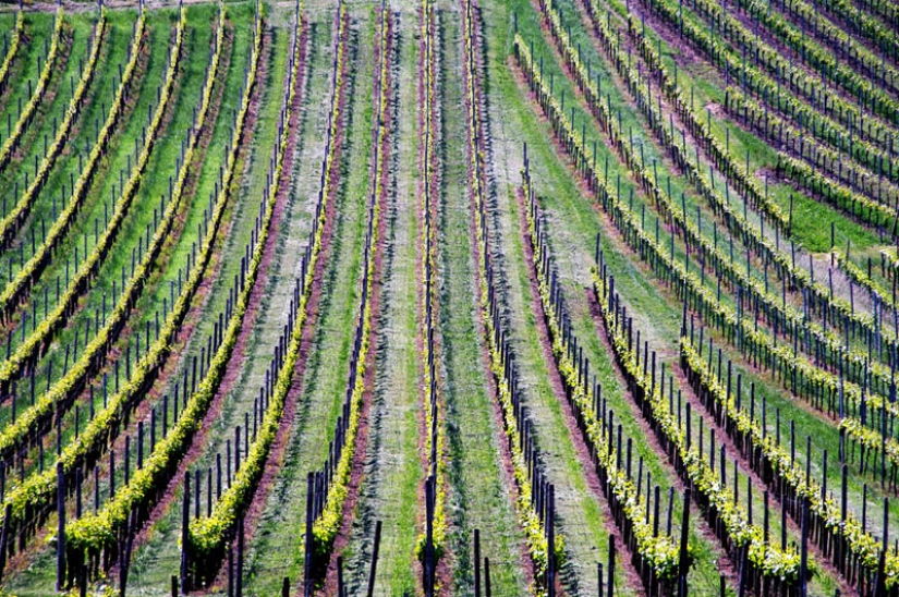 35 most beautiful vineyards in the world