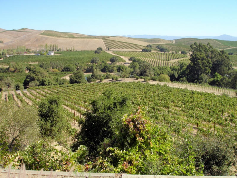 35 most beautiful vineyards in the world