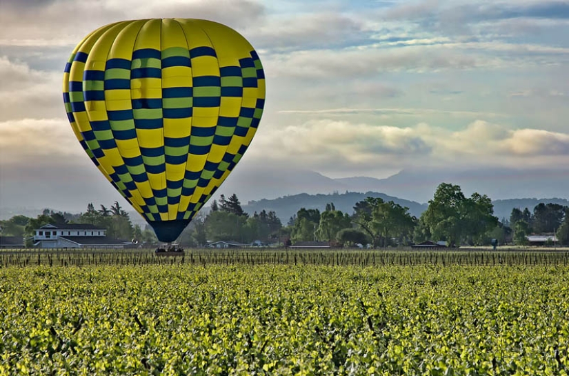 35 most beautiful vineyards in the world