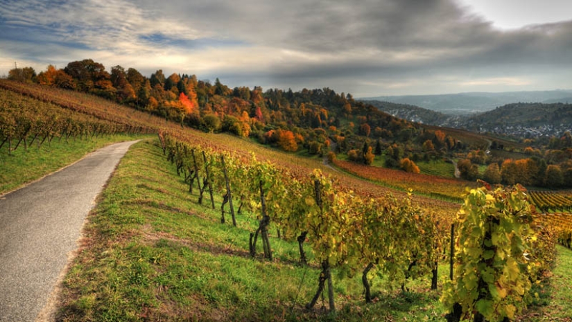 35 most beautiful vineyards in the world