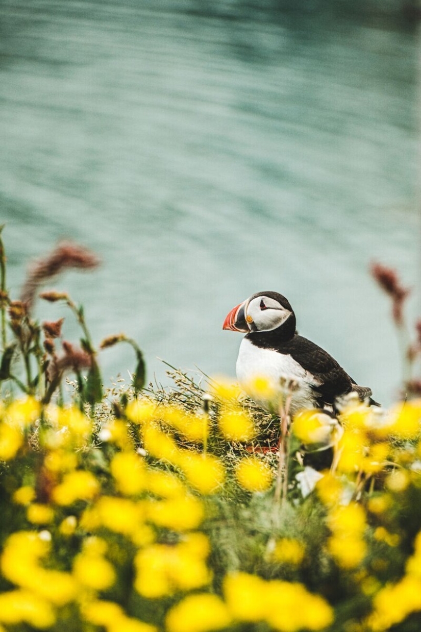 35 stunning landscape from Iceland