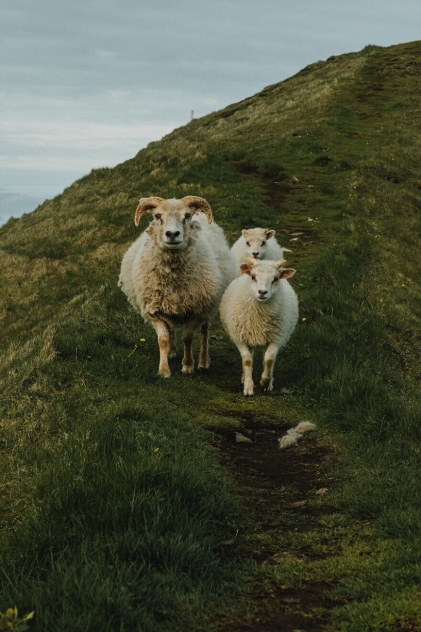 35 stunning landscape from Iceland