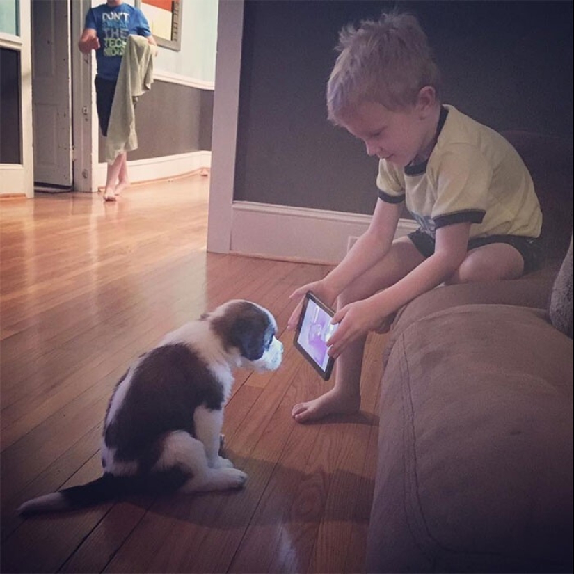 35 touching proofs that a dog is a child&#39;s best friend