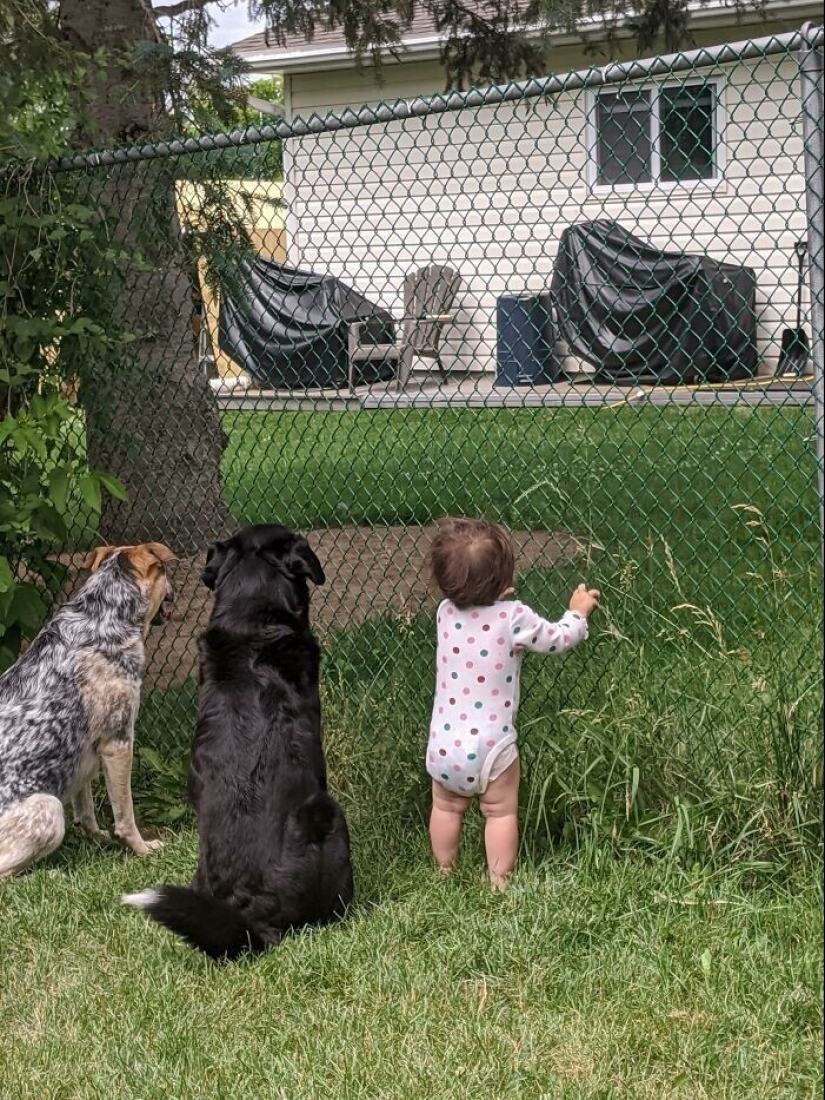 35 touching proofs that a dog is a child&#39;s best friend