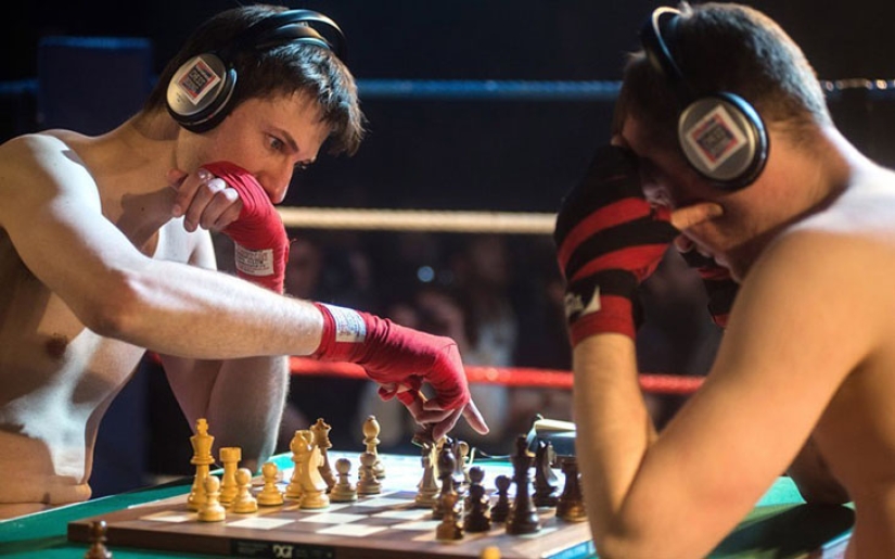 4 datos sobre el ajedrez-boxeo: un híbrido inusual de ajedrez y boxeo