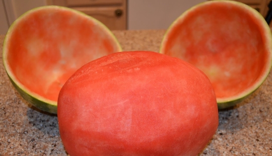 4 ejemplos de abuso de sandías 4 ejemplos de abuso de sandías