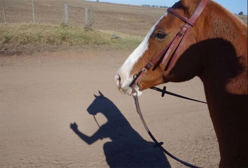 40 fotos extrañas que no puedes quitar los ojos de encima