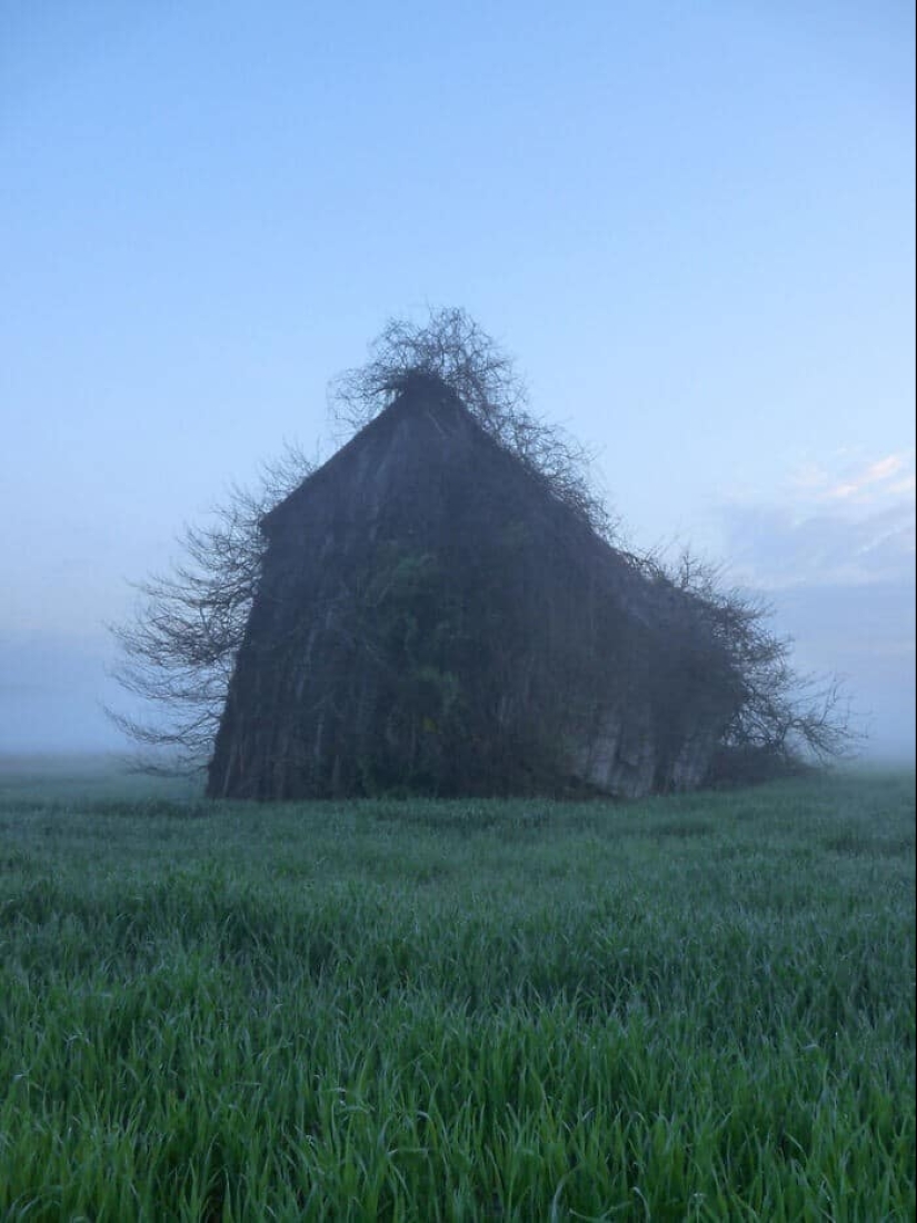 40 frightening photos from the community of scary Creepy lovers