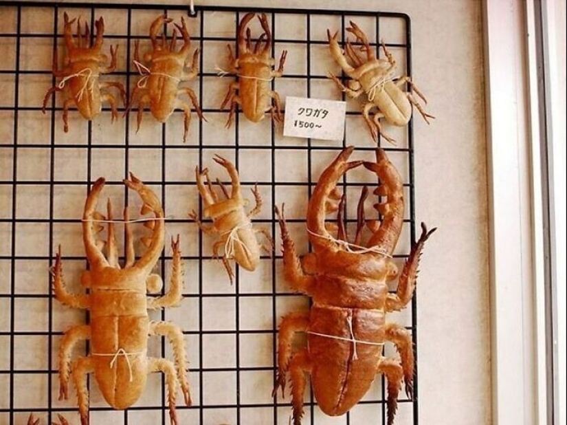 40 funny and strange pictures about food