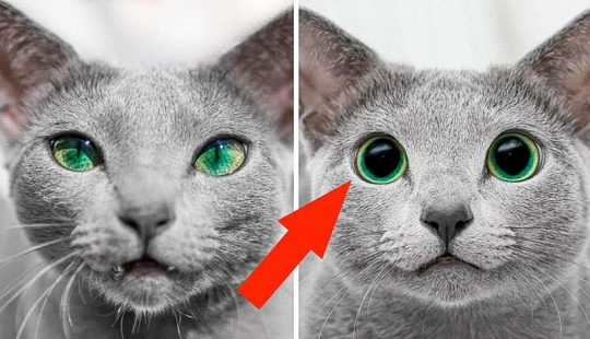 40 increíbles comparaciones: mirar con nuevos ojos familiar