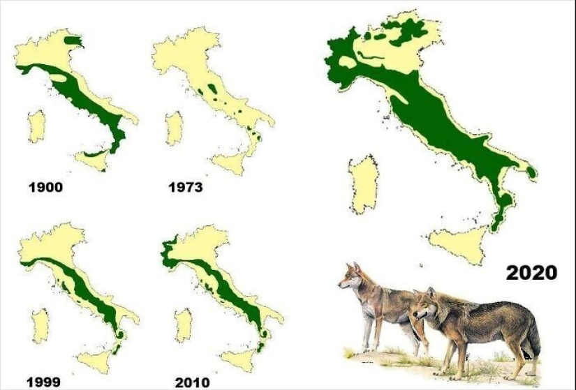 40 mapas que se abrirá para usted el mundo de un inesperado trimestre