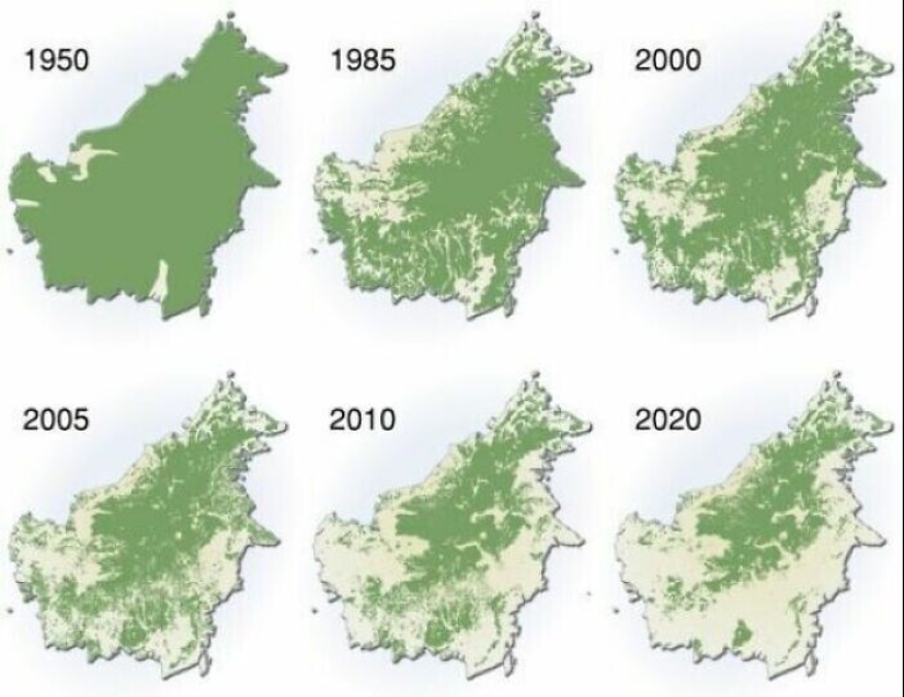 40 mapas que se abrirá para usted el mundo de un inesperado trimestre