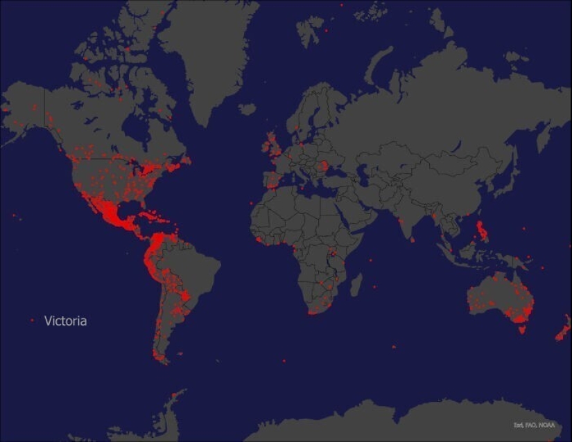 40 mapas que se abrirá para usted el mundo de un inesperado trimestre