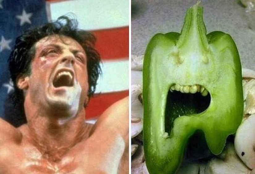 40 people and things whose similarity is off the scale