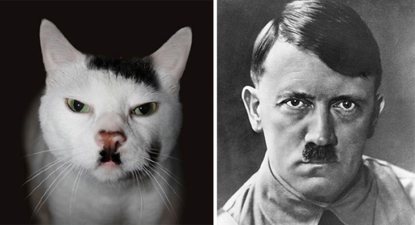 40 people and things whose similarity is off the scale