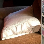 40 photos proving that cats can sleep anywhere