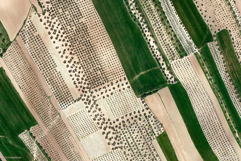 44 amazing abstract images from Google Earth