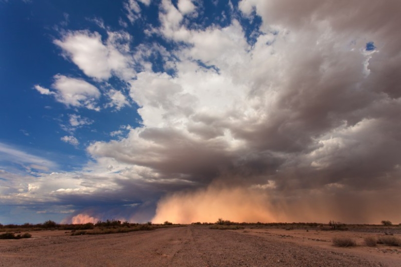 "45 000 kilometers the chase": rampant element the eyes of an American hunter storm