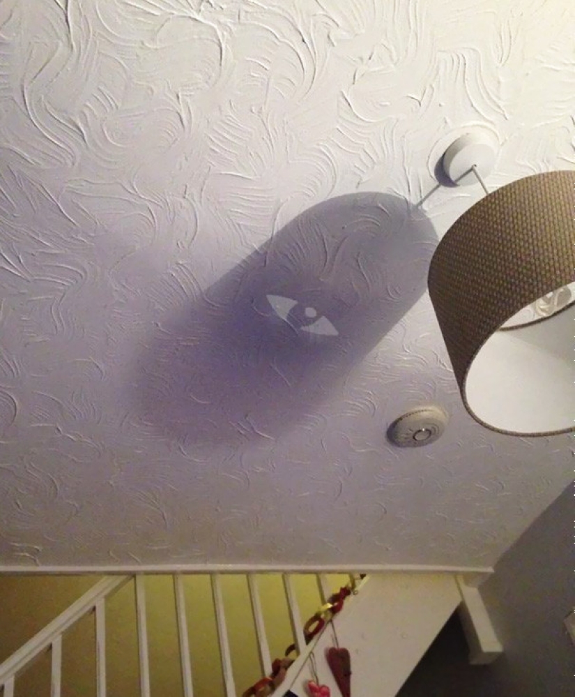 45 incredible shadows that will force you to look at them twice