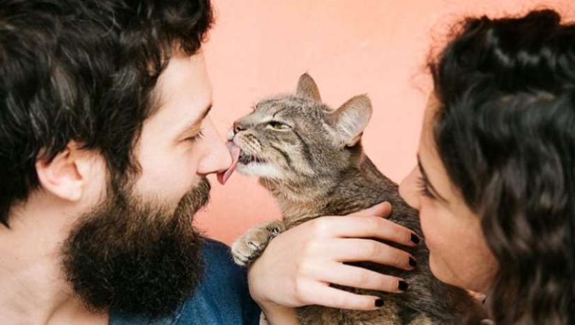 5 formas de demostrarle tu amor a tu gato