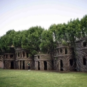 5 unusual structures in giant trees