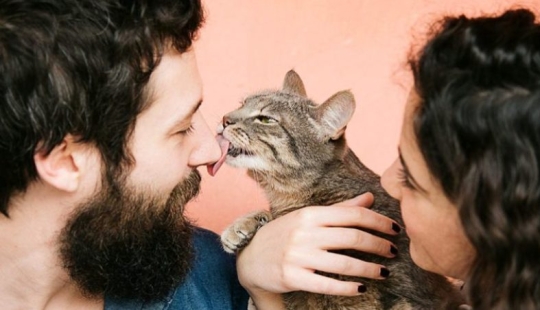 5 ways to show your cat your love