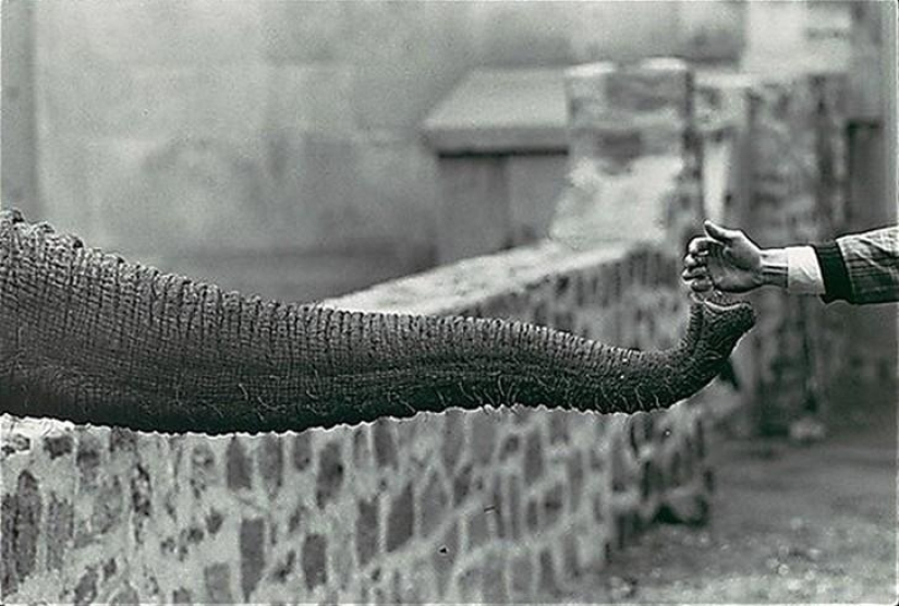 50 maravillosas imágenes en blanco y negro de los maestros de la fotografía