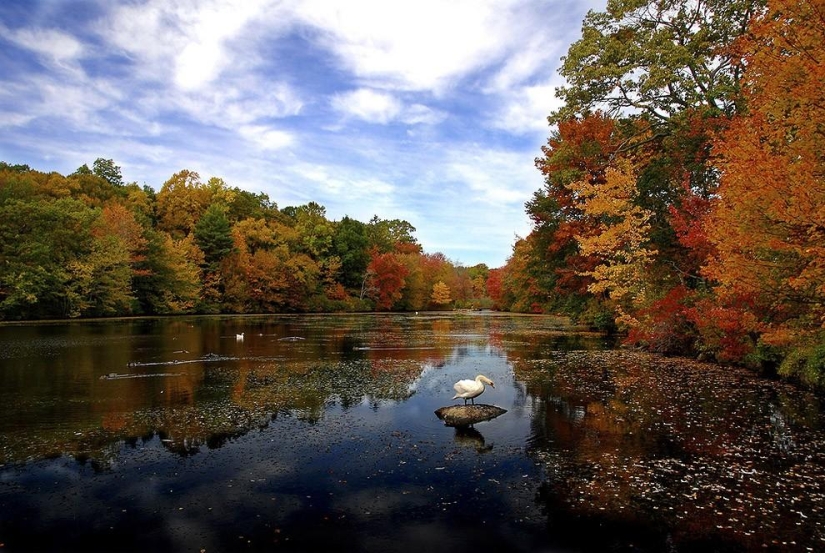 50 Most Stunning Photos Representing the 50 States of America