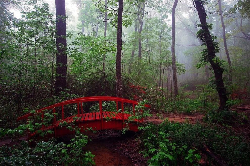 50 Most Stunning Photos Representing the 50 States of America