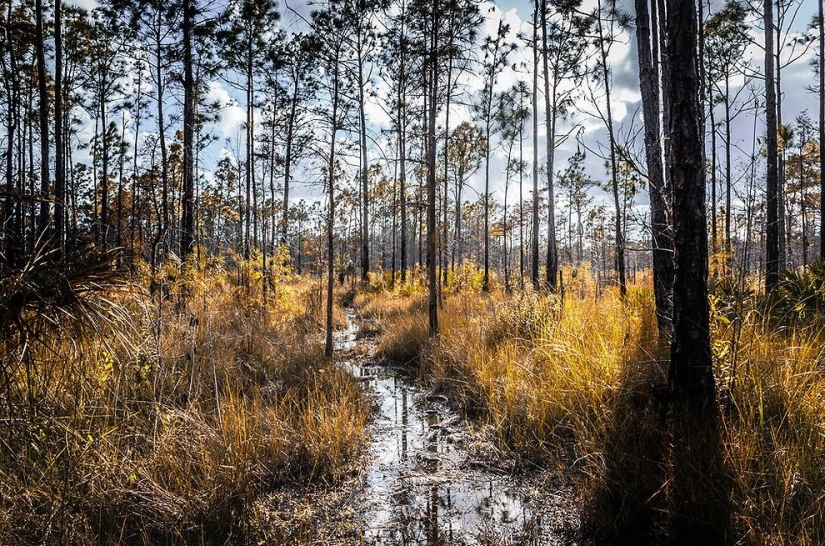 50 Most Stunning Photos Representing the 50 States of America