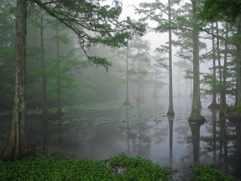 50 Most Stunning Photos Representing the 50 States of America