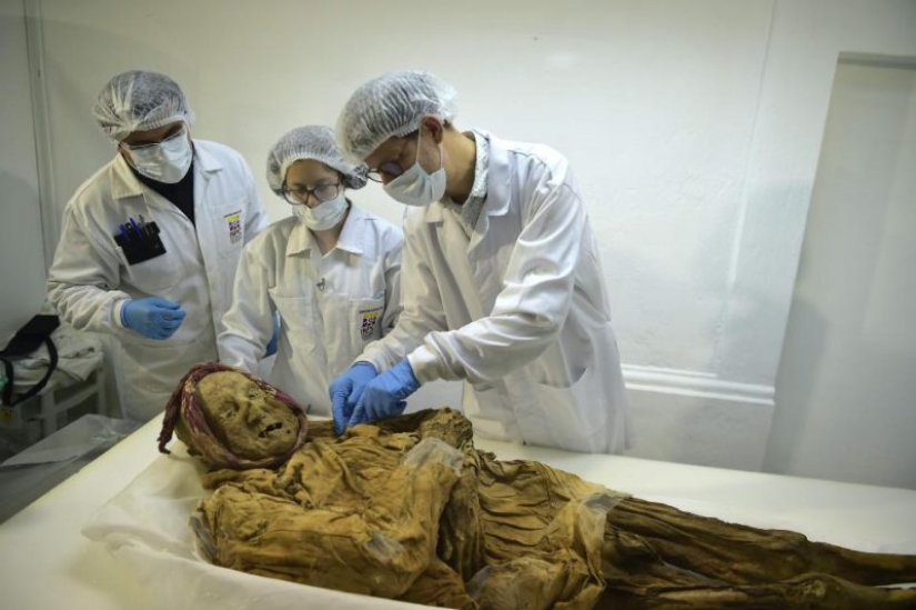 500-year-old mummy of a monk can give the answer to why we suffer from rheumatism