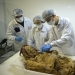 500-year-old mummy of a monk can give the answer to why we suffer from rheumatism