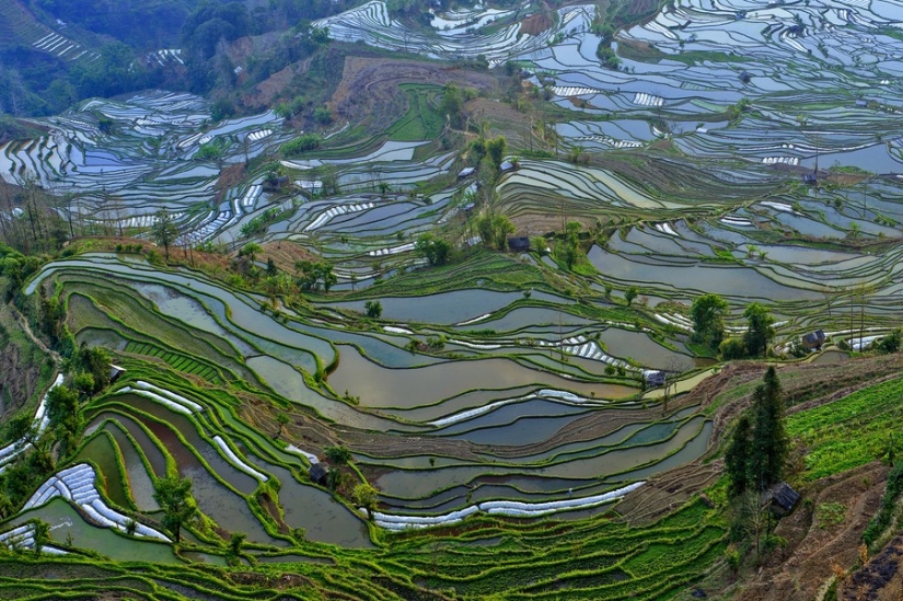 55 aerial photos that our planet is the most beautiful