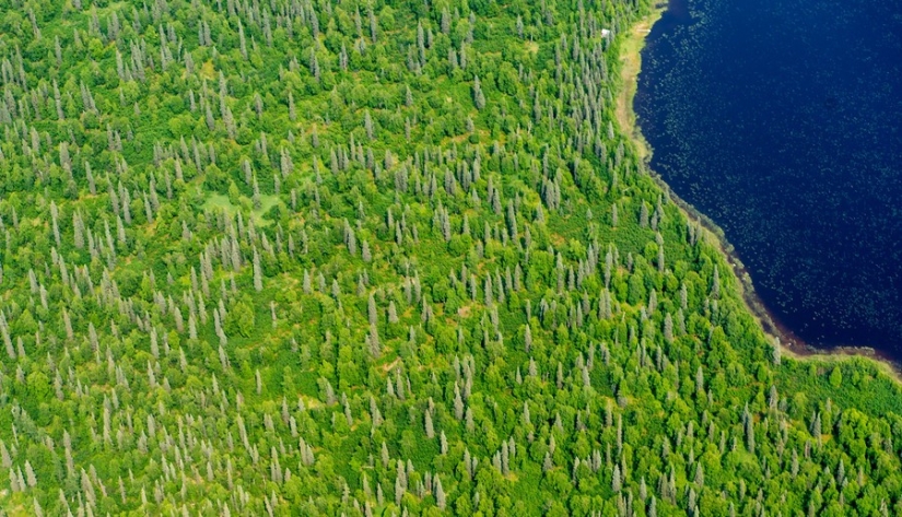 55 aerial photos that our planet is the most beautiful