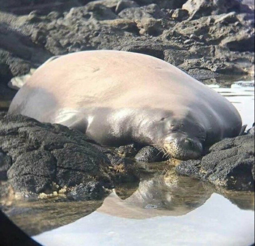 55 fotos impresionantes de cosas fenomenalmente grandes