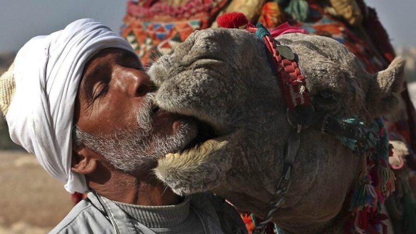 6 increíbles tradiciones de besos de diferentes partes del mundo