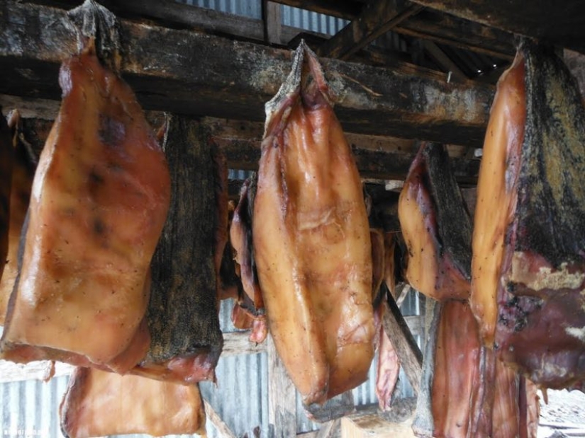 6 muy extraño Escandinavos platos de pescado, desde donde los turistas que llegan hasta